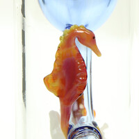 Seahorse Klein Torus