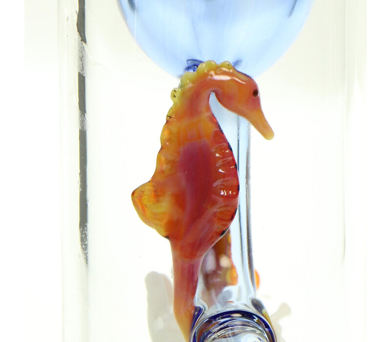 Seahorse Klein Torus