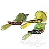 Laughlan Glass / Intent Glass Intent Glass Elvin Spoon