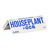 Houseplant Houseplant by OCB Classic - 1 1/4
