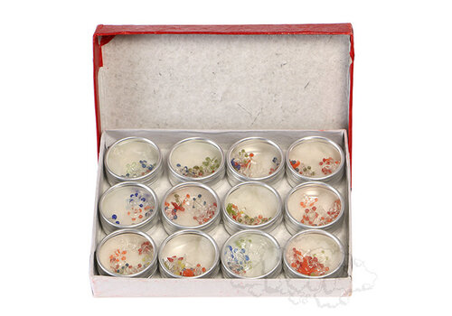Glass Screens (Multicolour) 12/Pack - 12 Packs/Box