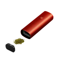 Pax Mini