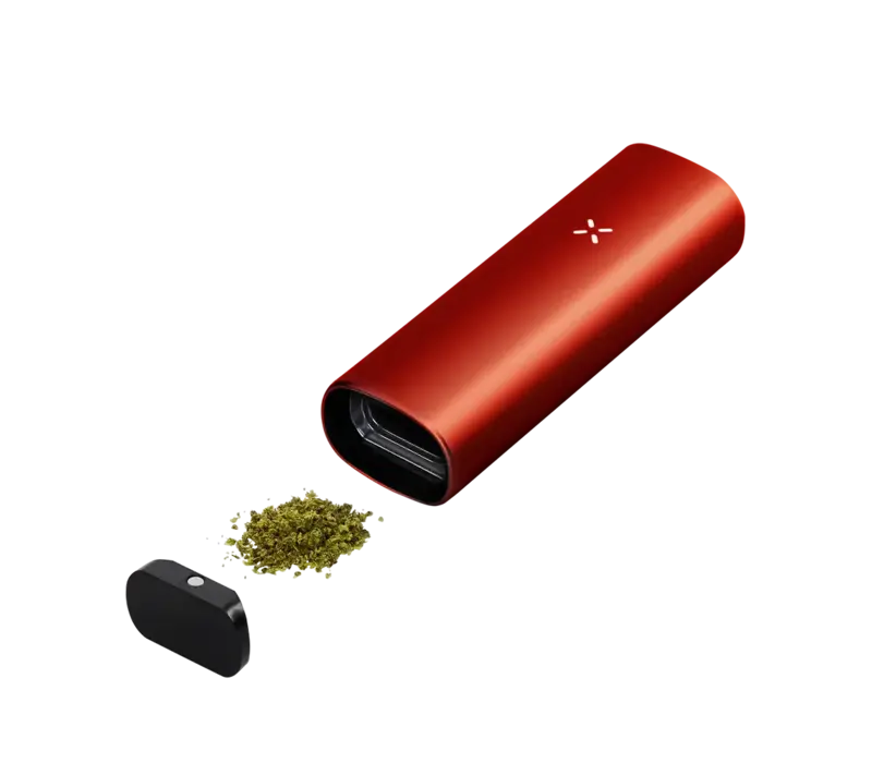 Pax Mini