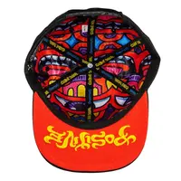Grassrots Chris Dyer Harmoneyes Red BLK Snapback Hat