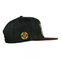 Grassrots Chris Dyer Harmoneyes Red BLK Snapback Hat