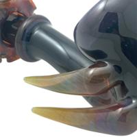 Emily's Radiolaria Sherlock