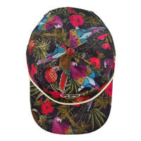 Grassroots Greg Lutzka Ganja Bahama Taffy Zipperback Snapback Hat