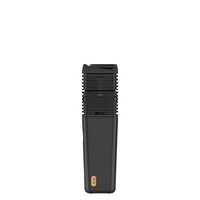 Storz & Bickel VEAZY Vaporizer