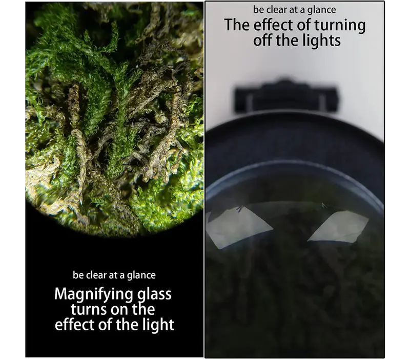 Glow Jar- Magnifying  W/ Lights -White