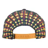 Grassroots Simon Haiduk Tiger - Glowm Snapback