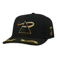 Grassroots Pink Floyd DSOTM - Black Snapback