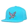 Grassroots Grassroots Summer Camp Bird Aqua Snapback
