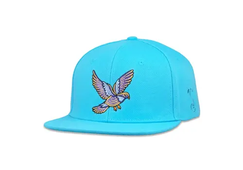 Grassroots Grassroots Summer Camp Bird Aqua Snapback