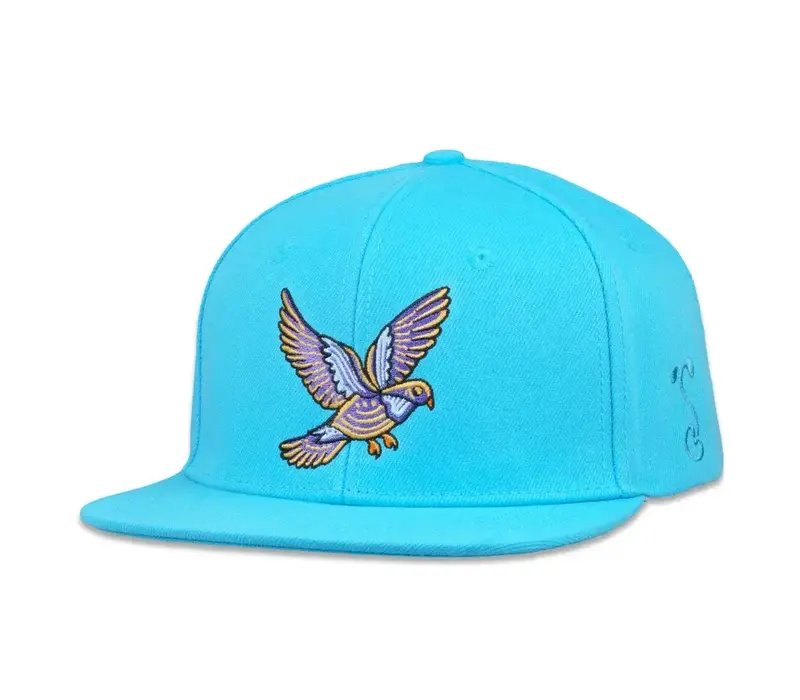 Grassroots Summer Camp Bird Aqua Snapback