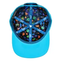 Grassroots Summer Camp Bird Aqua Snapback