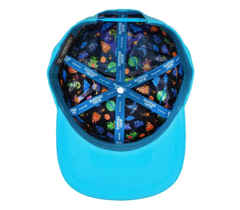 Grassroots Summer Camp Bird Aqua Snapback