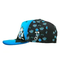 Grassroots Paw Mountains Blue Snapback L/XL