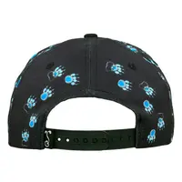 Grassroots Paw Mountains Blue Snapback L/XL