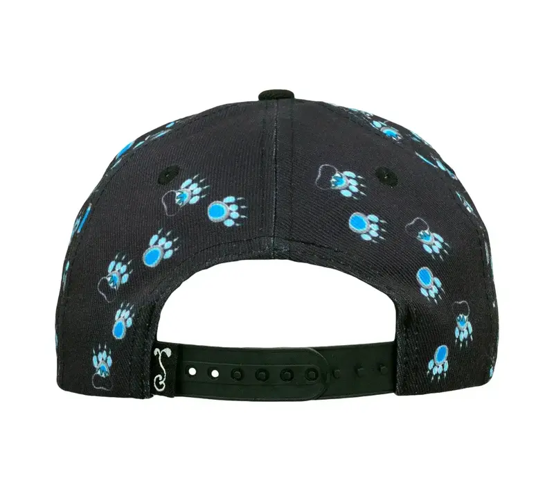 Grassroots Paw Mountains Blue Snapback L/XL