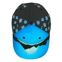 Grassroots Paw Mountains Blue Snapback L/XL