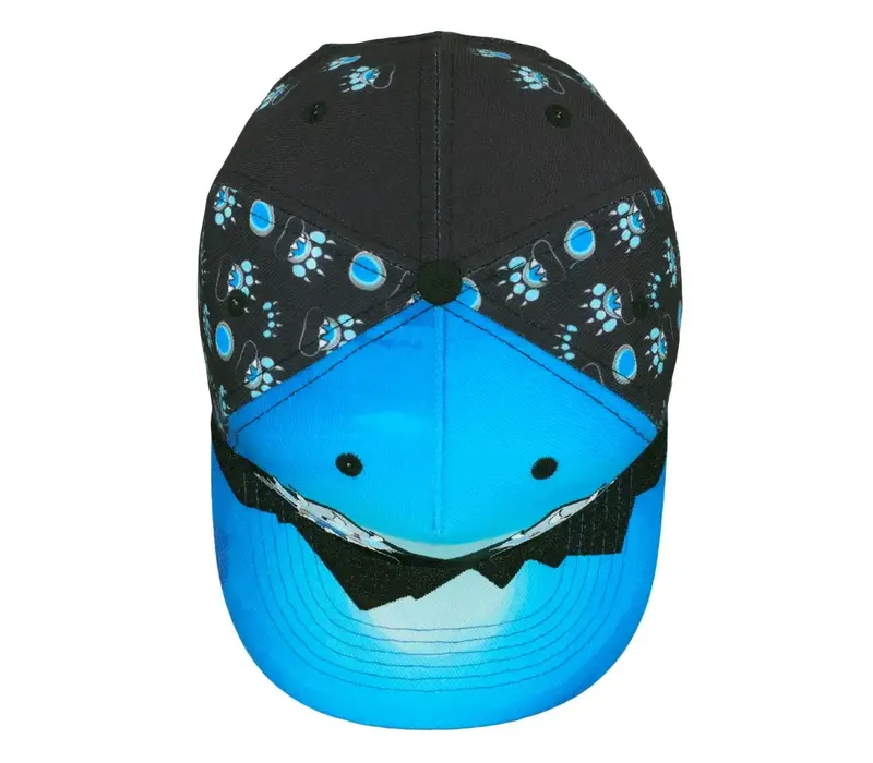 Grassroots Paw Mountains Blue Snapback L/XL