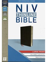 NIV THINLINE BIBLE LARGE PRINT