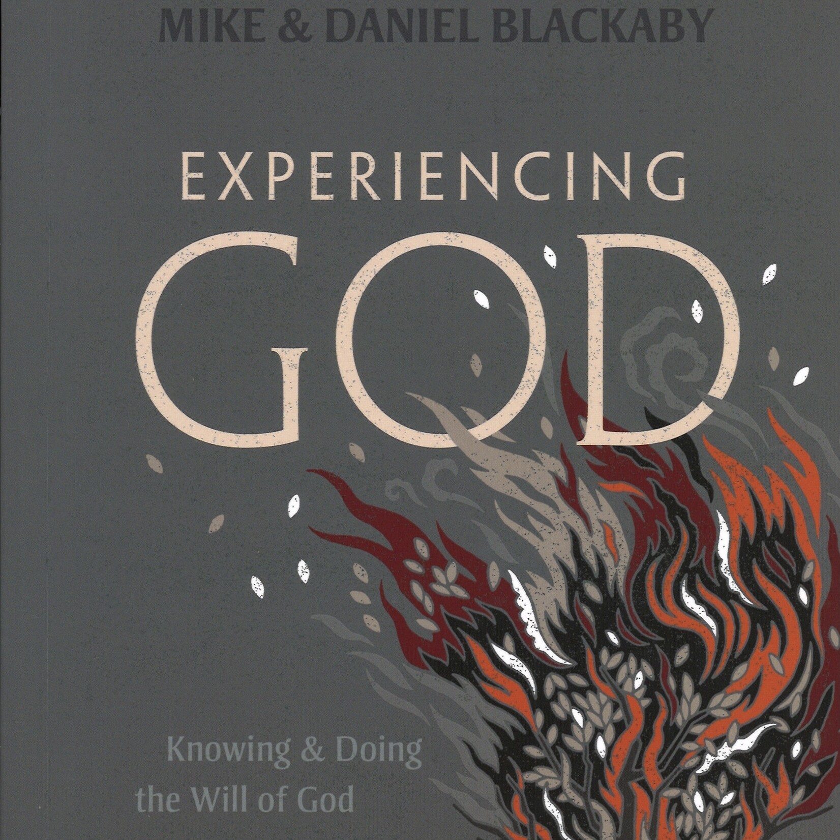 EXPERIENCING GOD - TEEN BIBLE STUDY BOOK