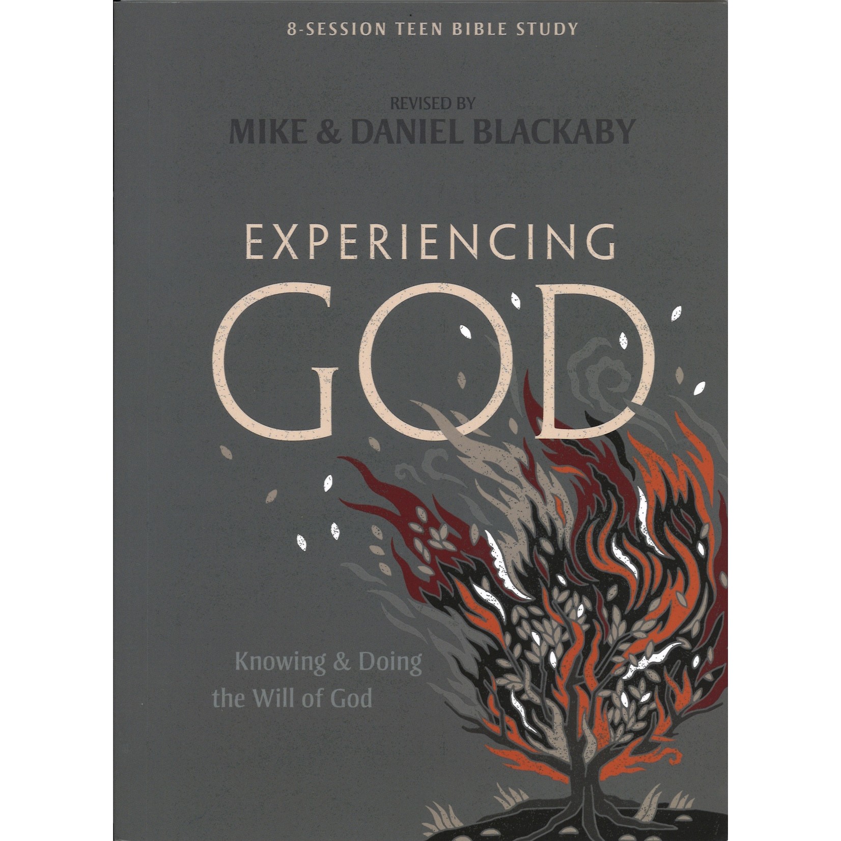 EXPERIENCING GOD - TEEN BIBLE STUDY BOOK