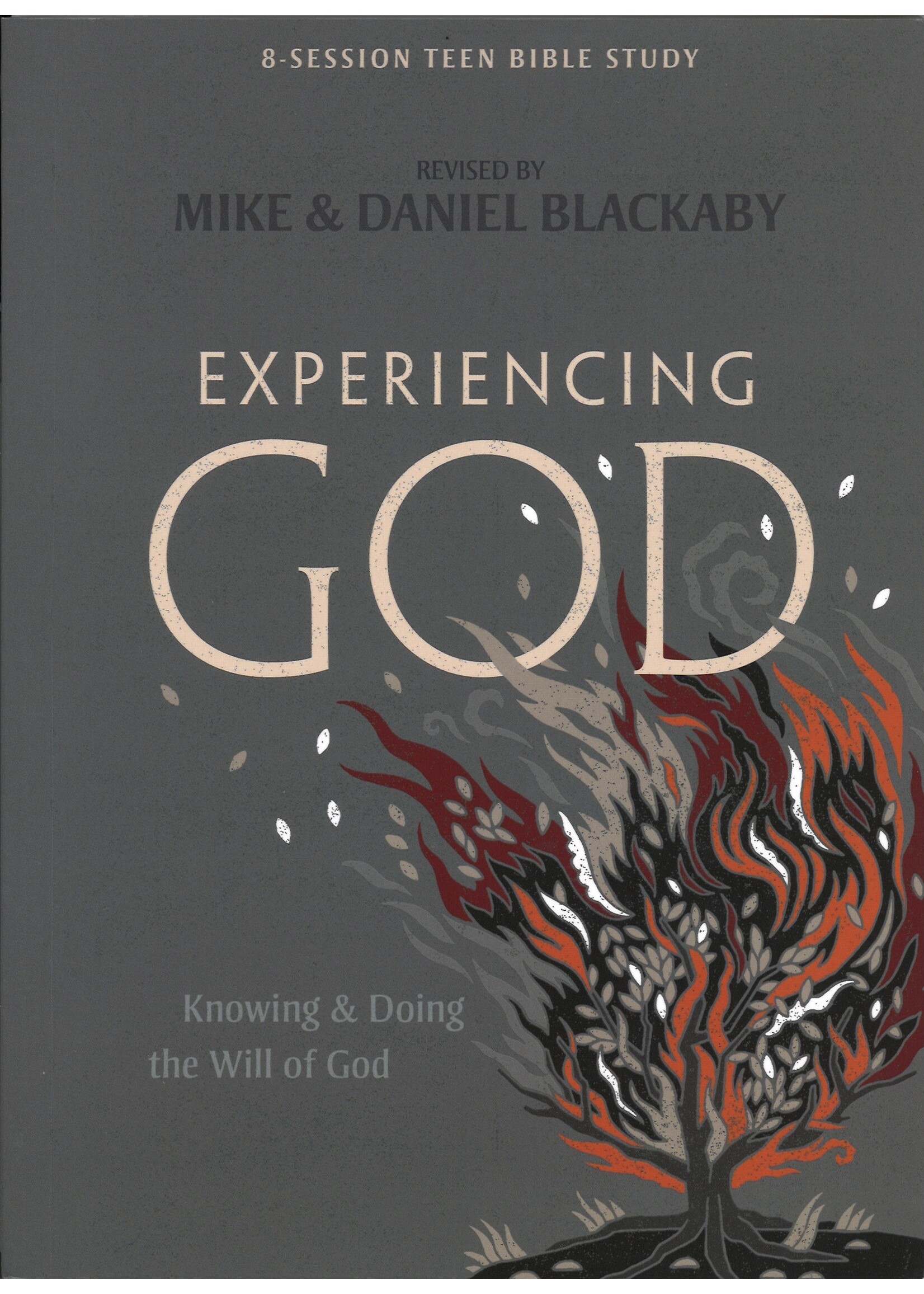 EXPERIENCING GOD - TEEN BIBLE STUDY BOOK