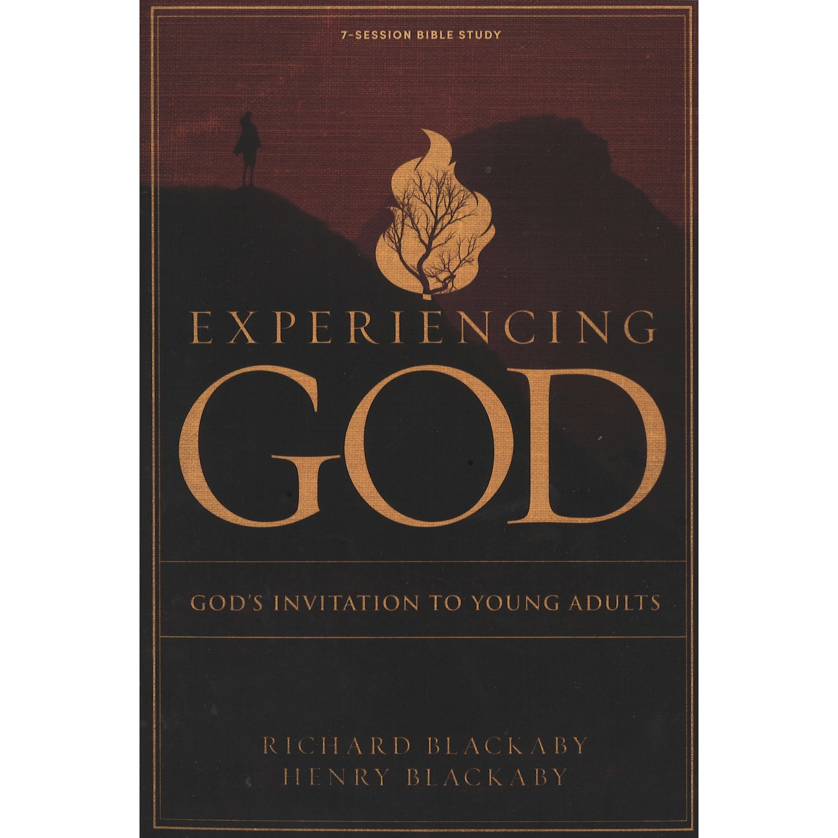 EXPERIENCING GOD: GOD'S INVITATION TO YOUNG ADULTS