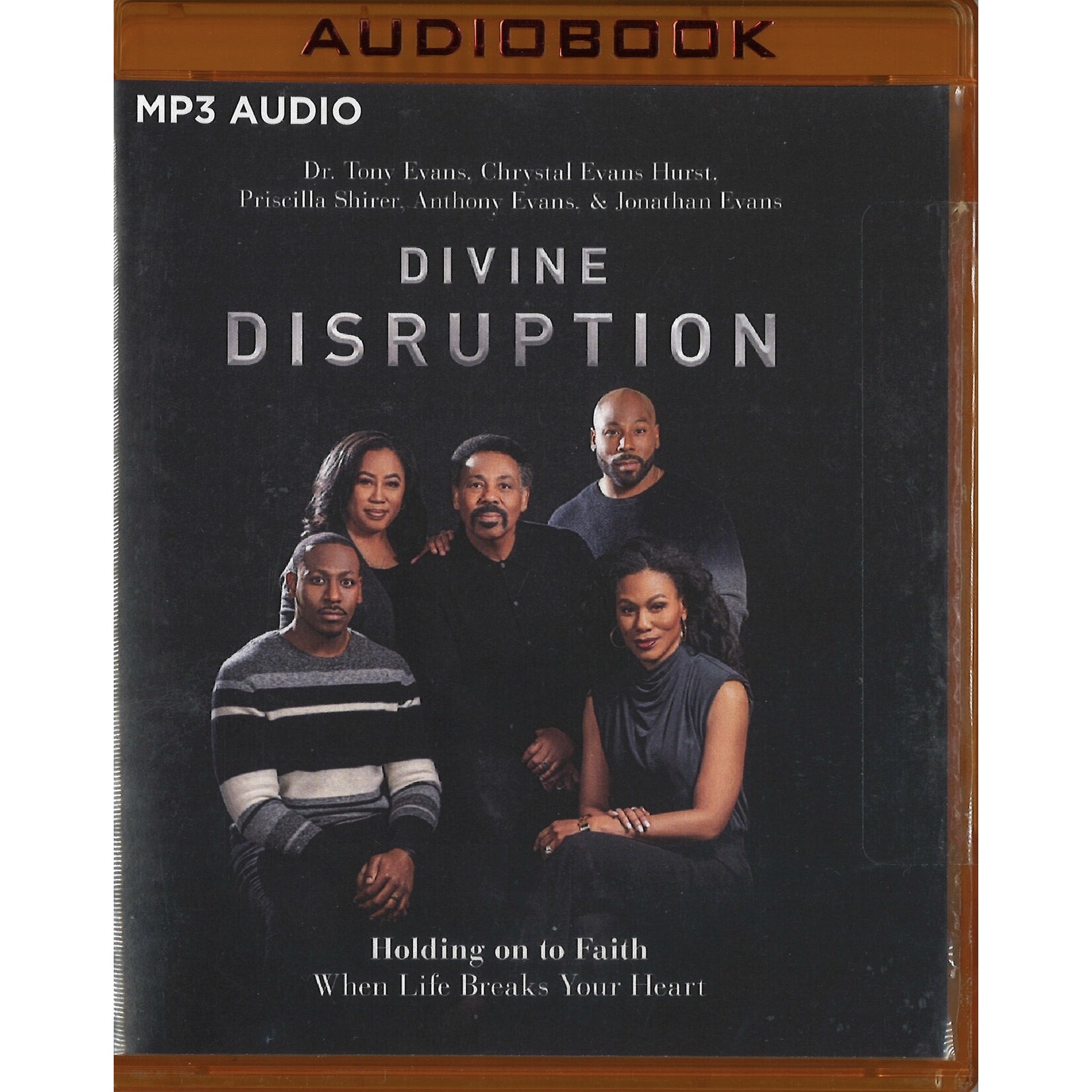 DIVINE DISRUPTION - AUDIOBOOK
