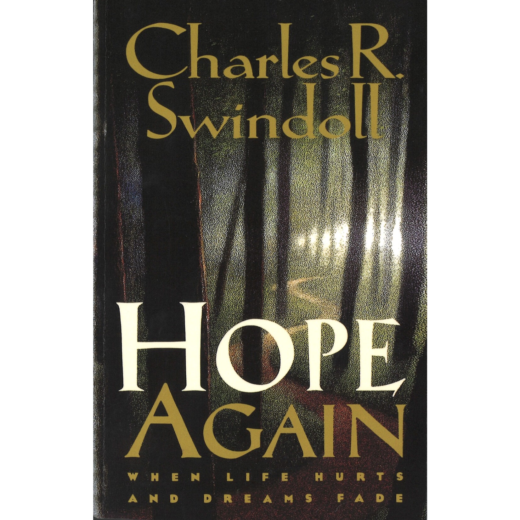 HOPE AGAIN: WHEN LIFE HURTS AND DREAMS FADE