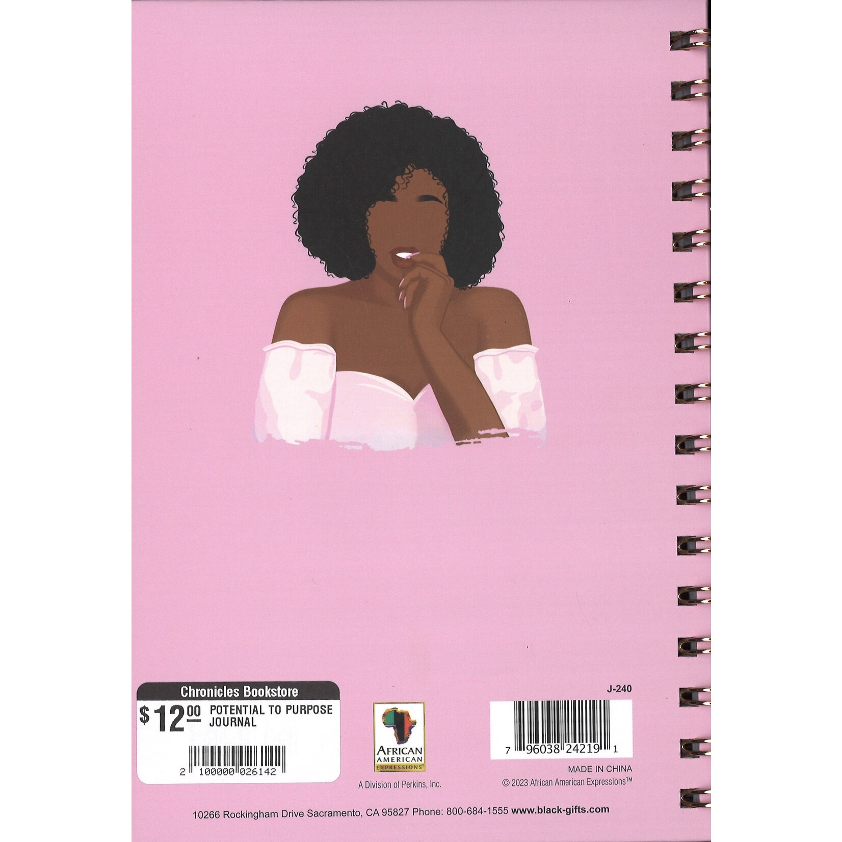 POTENTIAL TO PURPOSE JOURNAL