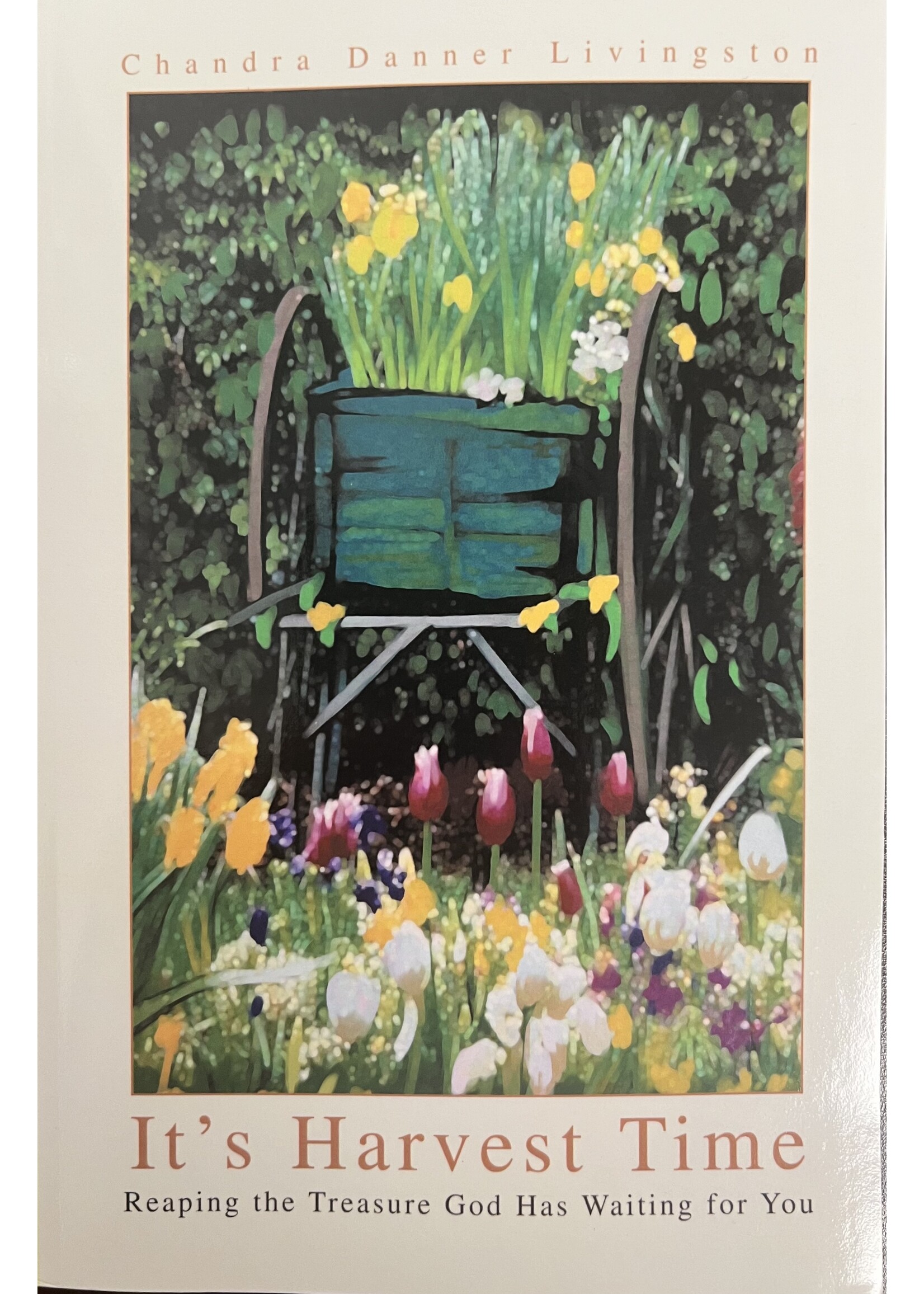 IT'S HARVEST TIME - REAPING THE TREASURE GOD HAS WAITING FOR YOU (LIVINGSTON,CHANDRA)