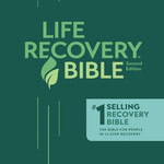NLT LIFE RECOVERY BIBLE PERSONAL SIZE