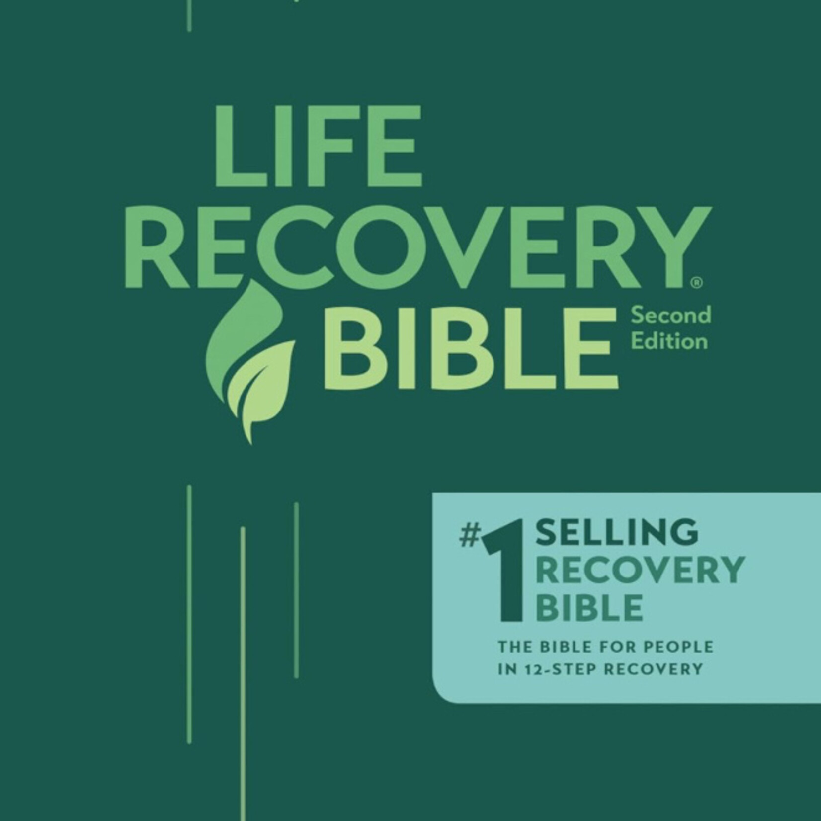 NLT LIFE RECOVERY BIBLE PERSONAL SIZE