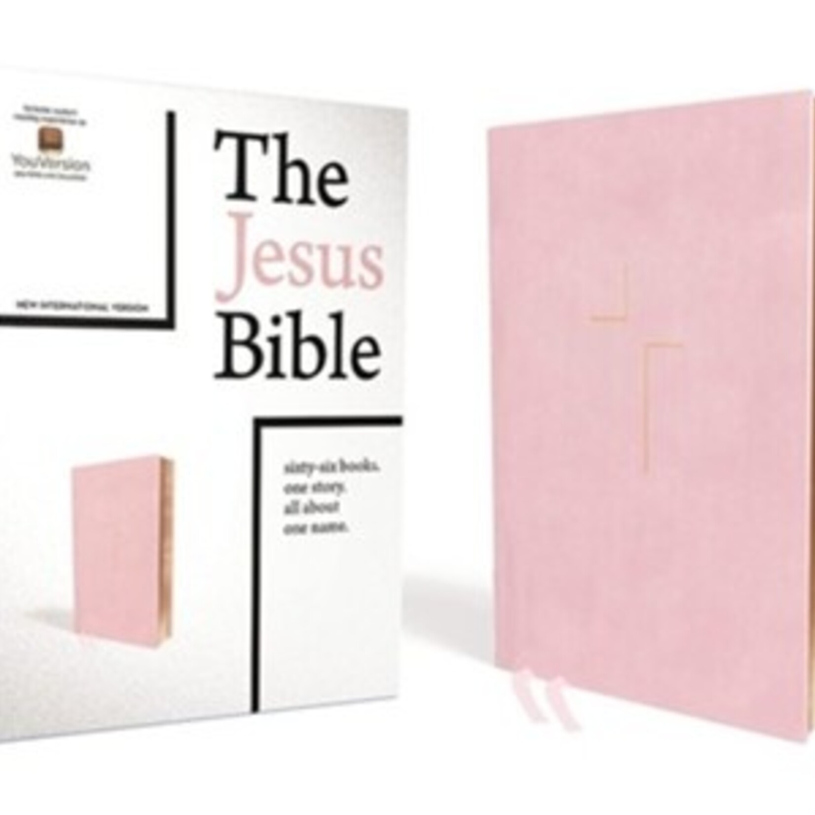 The Jesus Bible NIV Edition Pink