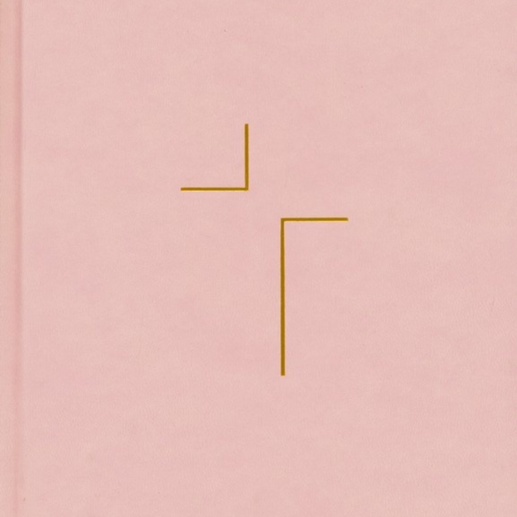 The Jesus Bible NIV Edition Pink