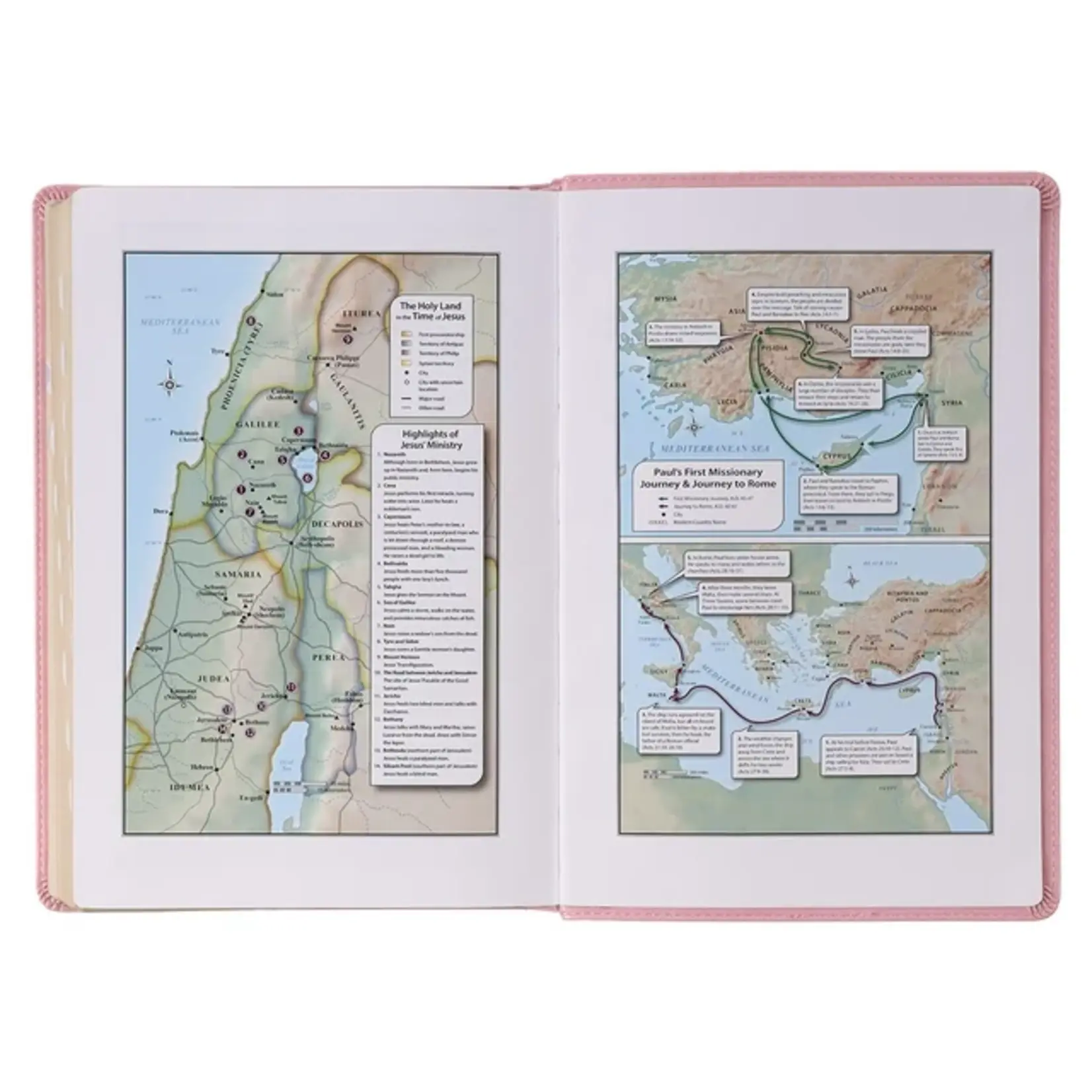KJV BIBLE, LARGE PRINT - PINK