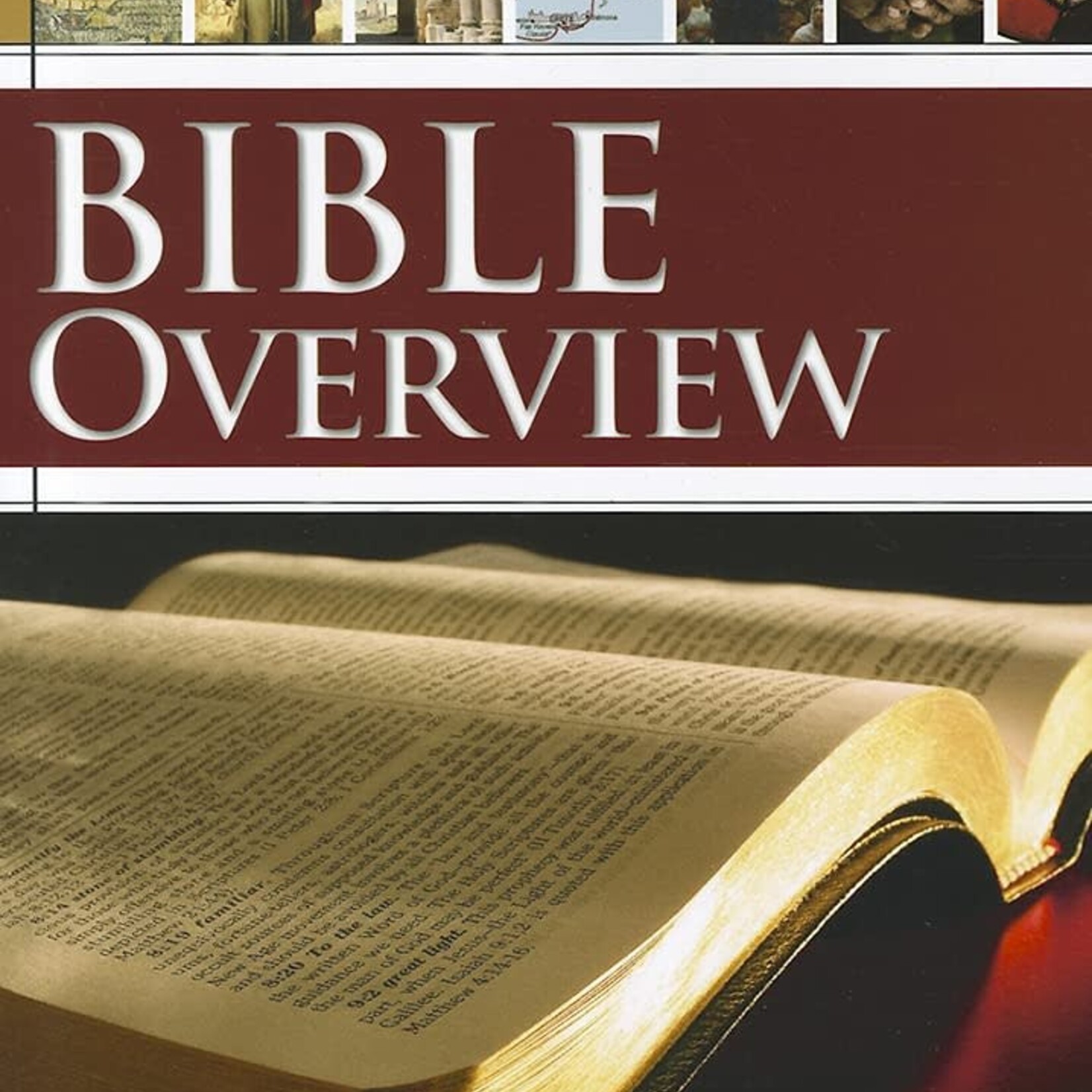 BIBLE OVERVIEW SC (REV.ROBERTS)