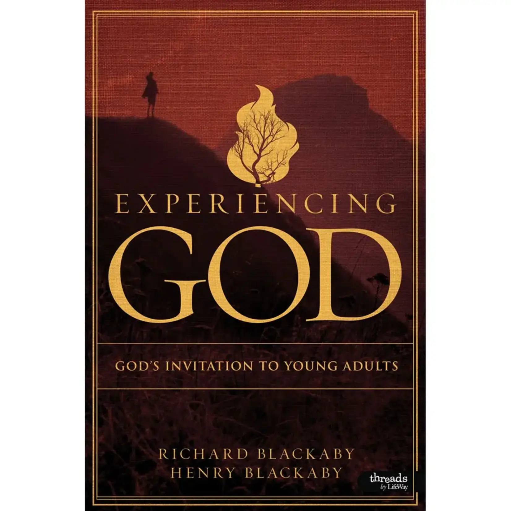 EXPERIENCING GOD - YOUNG ADULT EDITION BOOK(REV.ROBERTS)