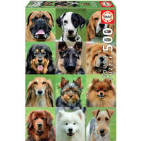 ED500 DOGS COLLAGE