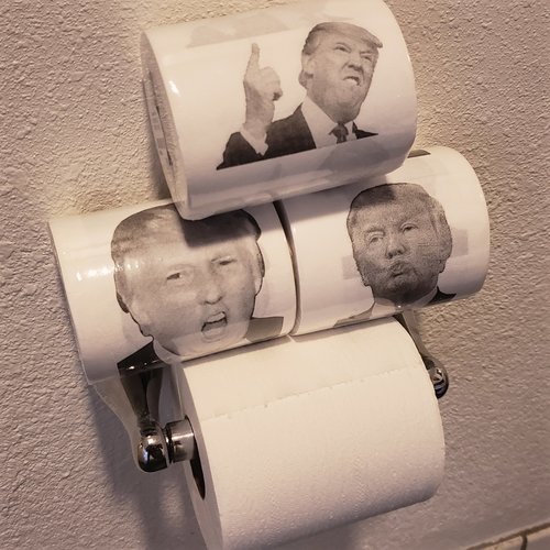 PLAY VISIONS "THE DONALD" TRUMP TOILET PAPER PLAY VISIONS "THE DONALD" TRUMP TOILET PAPER