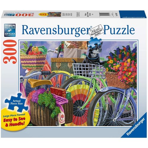 Ravensburger RV300(L) BICYCLE GROUP Ravensburger RV300(L) BICYCLE GROUP