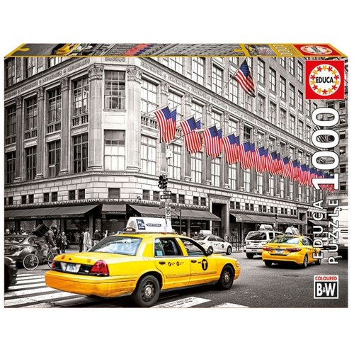 Educa ED1000 FIFTH AVENUE NEW YORK Educa ED1000 FIFTH AVENUE NEW YORK