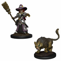 WARDLINGS GIRL WITCH & CAT