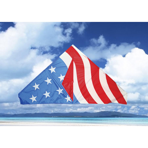 SKYDOG KITES LLC KITE DELTA USA 55" SKYDOG KITES LLC KITE DELTA USA 55"