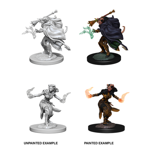 Wizkids MINIS: D&D: TIEFLING FEMALE WARLOCK Wizkids MINIS: D&D: TIEFLING FEMALE WARLOCK