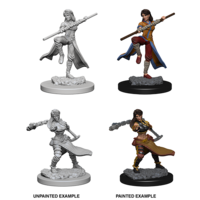 MINIS: D&D: HUMAN FEMALE MONK (BO STAFF)