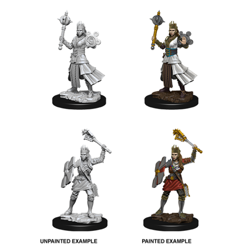 Wizkids MINIS: D&D: HUMAN FEMALE CLERIC Wizkids MINIS: D&D: HUMAN FEMALE CLERIC